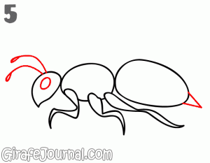 how-to-draw-a-bee_5.gif