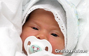 Две недели после зачатия: этапы и особенности развития эмбриона