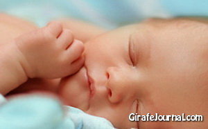 Восьмая неделя беременности: Стадия развития эмбриона фото
