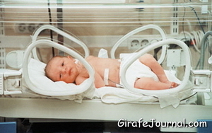 Этапы выхаживания недоношенных детей, причины и особенности фото