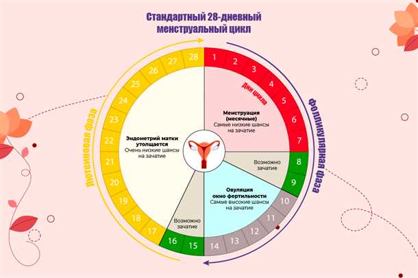 Как определить срок беременности по менструальному циклу