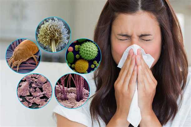 Как вылечить аллергию народными средствами