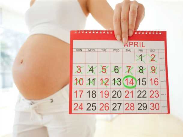 Все, что нужно знать о календаре беременности