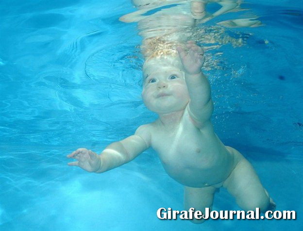 Раннее развитие – обучение плаванию и нырянию фото