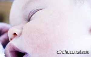 Здоровый рацион ребенка 8 месяцев: главные продукты фото