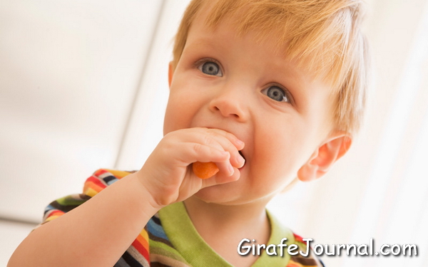Як дитину навчити жувати їжу
