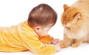 Как защитить малыша от болезни кошачьих царапин?
