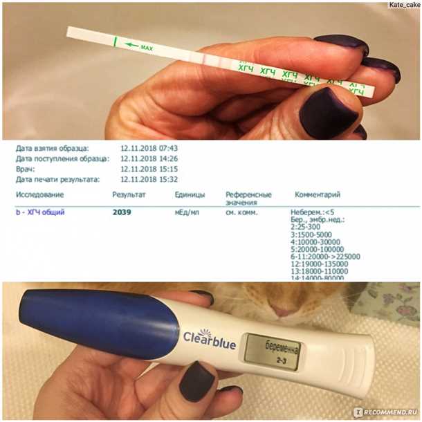 Диагностика беременности на ранних сроках: тест на беременность, симптомы, тест ХГЧ