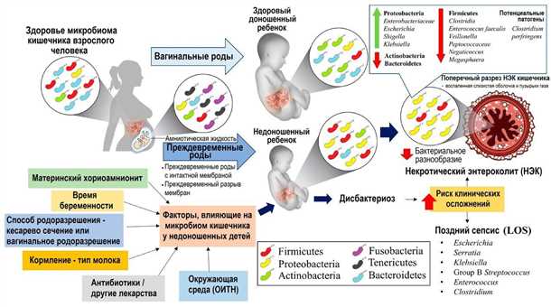 Дисбактериоз кишечника у новорожденных: причины, внешние проявления, симптомы,