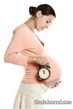 Календарь зачатия и беременности фото