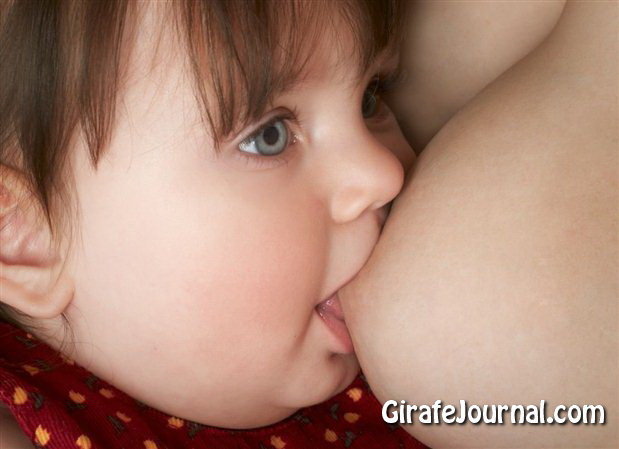 3 этапа, которые помогут закончить кормление грудью? фото