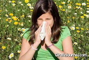 Чем лечить аллергический ринит